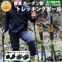 【土日も発送】【P10倍★4/20限定】 トレッキングポール カーボン製 2本セット 伸縮式 軽量 4種のアタッチメント 収納袋付き ウォーキングポール 登山 杖 ストック アウトドア キャンプ レジャー ハイキング I型 歩行 山登り 雪道 Landfield 【レビューで永久保証】