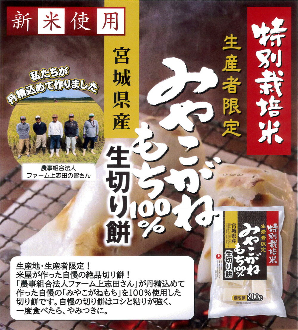 神社で御祈祷されたもち米 きりもち 宮城 食品 グルメ お正月 新年　切り餅 選べるセット 特別栽培米 宮城県産 みやこがねもち 800g 個包装 御祈祷米 生産者限定 もち 餅 切餅 生切り餅 生切餅 お餅 おもち 切りもち 食品