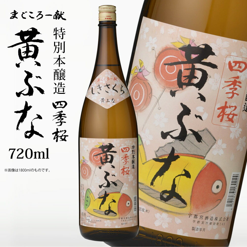 【P2倍★6/1限定】 四季桜 本醸造 黄ぶな 720ml 特別本醸造酒 日本酒 お酒 本醸造酒 やや辛口 濃醇 程好い酸味 栃木宇都宮 蔵元直送 清酒 地酒 酒 ギフト プレゼント【代引/同梱不可】