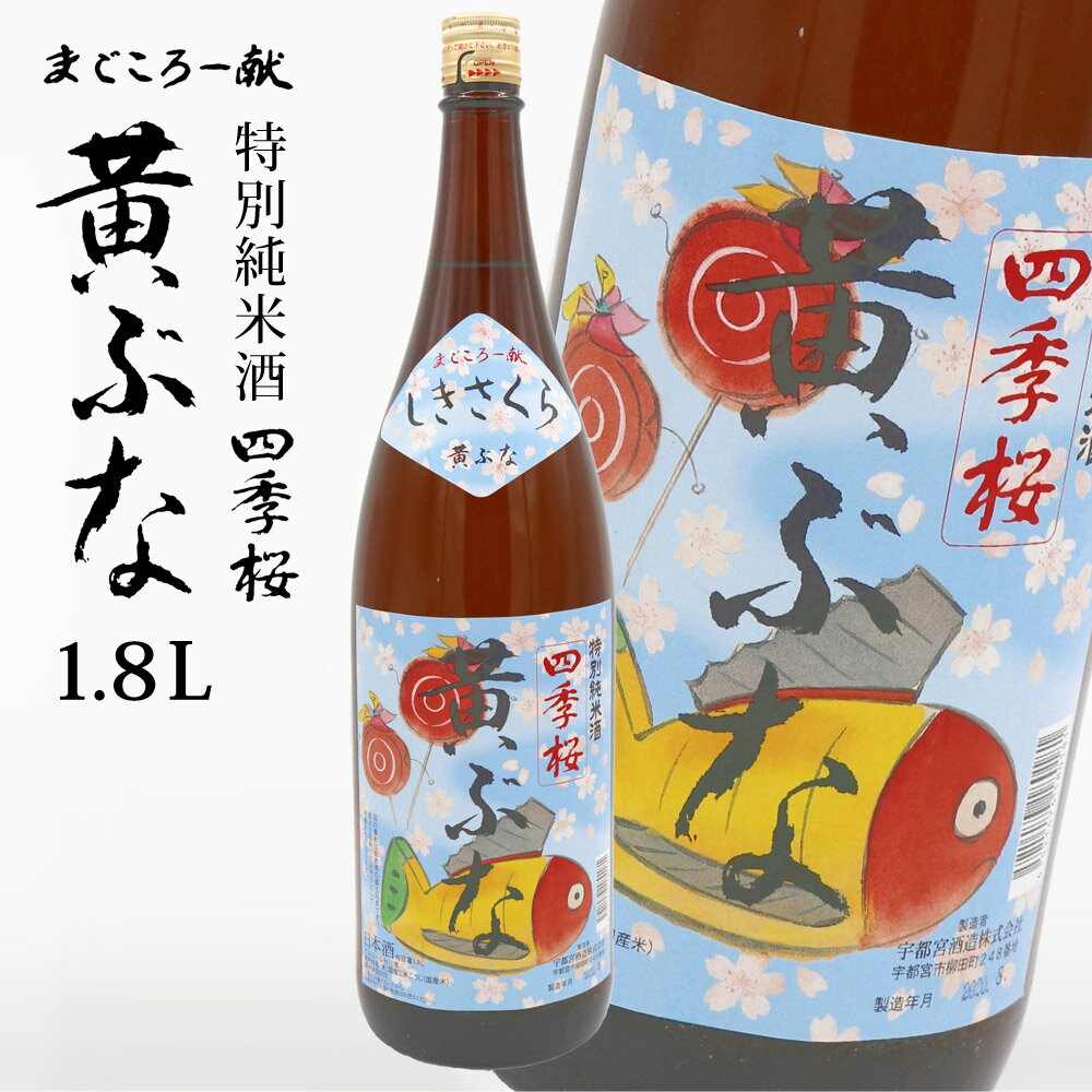 【P2倍★6/1限定】 四季桜 純米 黄ぶな 1800ml 特別純米酒 日本酒 お酒 純米酒 やや辛口 芳醇 栃木宇都宮 蔵元直送 地酒 酒 ギフト プレゼント お歳暮 お中元 【代引/同梱不可】