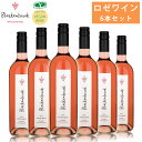 【最大2000円OFFクーポン配布中】 ブラッケンブルック 2020 6本セット 750ml×6 ロゼワイン rose 果実味 甘味 酸味 リッチ ヴィーガンワイン ピノノワール Blackenbrook 【代引不可】【同梱不可】