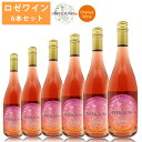 グリーンソングス 2020 ロゼワイン 6本セット 750ml×6 オレンジ 上品 キャラメル感 ぶどう アンバーピノグリ 葡萄酒 Green Songs 【代引不可】【同梱不可】