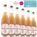 【最大2000円OFFクーポン配布中】 グリーンソングス スパークリングワイン 2020 6本セット 750ml×6 葡萄酒 発泡酒 ペットナットザ・クリフス Green Songs 【代引不可】【同梱不可】