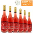 【最大2000円OFFクーポン配布中】 グリーンソングス ロゼワイン 2020 6本セット 750ml×6 ロゼワイン 軽やか なめらか 香り 飲みやすい 葡萄酒 ピノノワール Green Songs 【代引不可】【同梱不可】