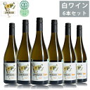 【最大2000円OFFクーポン配布中】 ラブブロック 2021 6本セット 750ml×6 白ワイン 柑橘系 香り フルーティー 葡萄酒 オーガニック ソーヴィニヨン ティー LOVEBLOCK 【代引不可】【同梱不可】