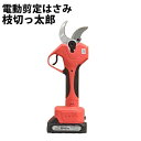 電動剪定はさみ 枝切っ太郎 電動開閉、力要らずでスパッと切れる。 ALUMIS アルミス EDT-40M