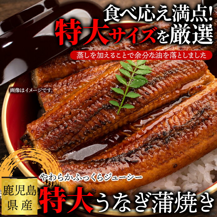 国産特大うなぎ蒲焼き 186g×2袋 鹿児島県産!! こだわりのつまった特大うなぎ蒲焼き!! ふっくらジューシーで食べ応え満点♪ 化粧箱入りで父の日の贈り物にもおすすめです!! 【代引不可】