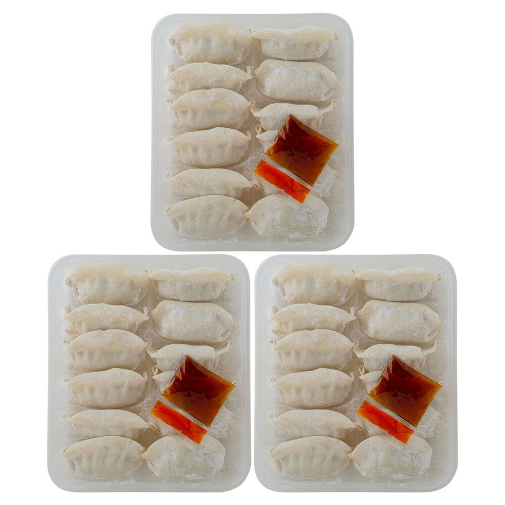 鹿児島県産 黒豚 使用 黒豚ぎょうざ 4080037 餃子 ギョウザ ぎょうざ お歳暮 おかず お取り寄せ プチギフト ギフト 点心 惣菜 グルメ お弁当 おつまみ野菜 肉汁 大きい 焼餃子 【代引不可】