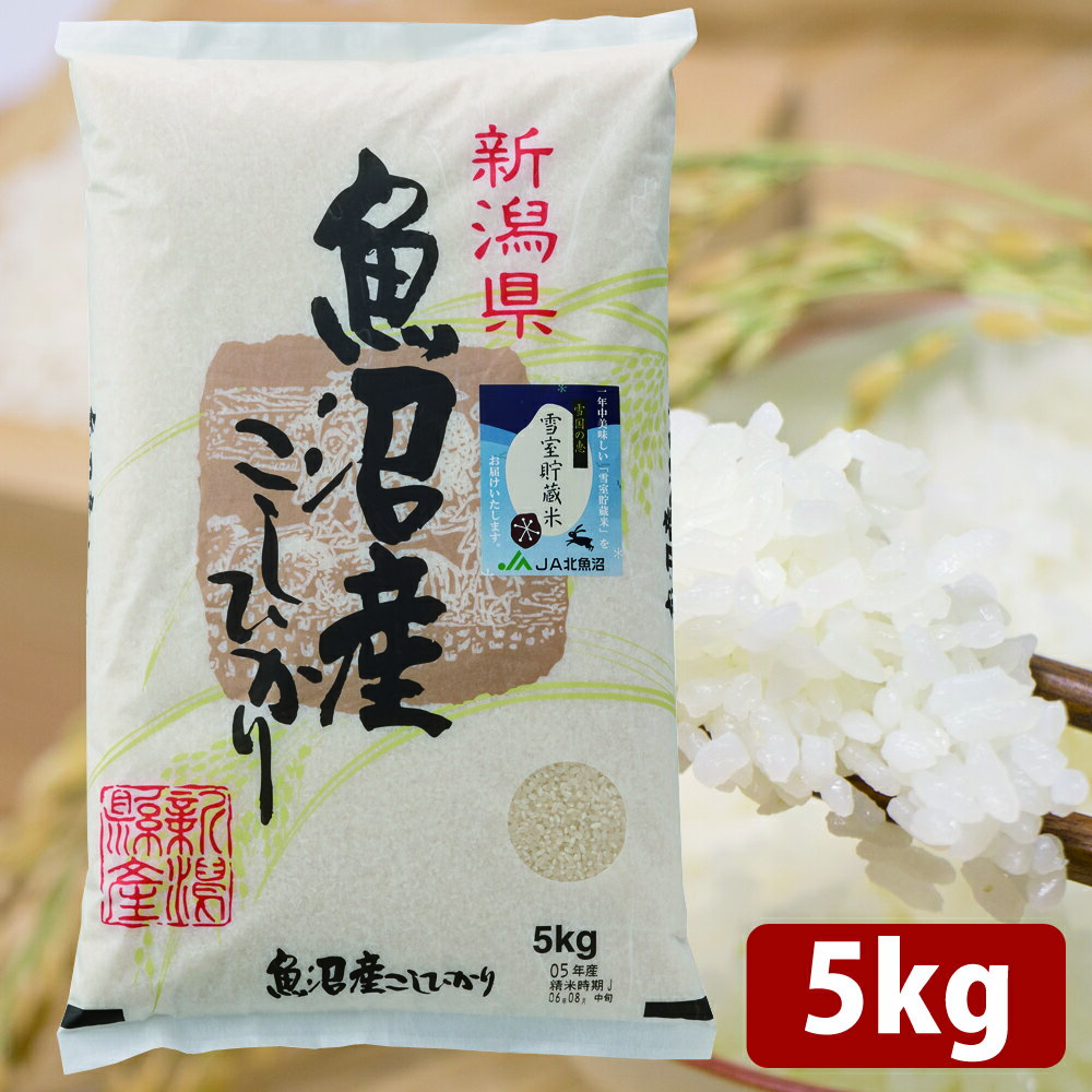 新潟県魚沼産 こしひかり 5kg 令和6年度 白米 精米 米 お米 2024年産 国産 【代引不可】