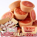 いちごタルト 22個 苺タルト 栃木県産 とちおとめ 個包装 苺 いちご タルト 国産 お菓子 おやつ 洋菓子 焼き菓子 焼菓子 【代引不可】
