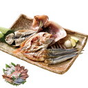 海匠國近 魚急便 お中元 御中元 ギフト 夏ギフト 国近商店 日頃の感謝を込めて 2025 人気 おすすめ 贈り物 【代引不可】