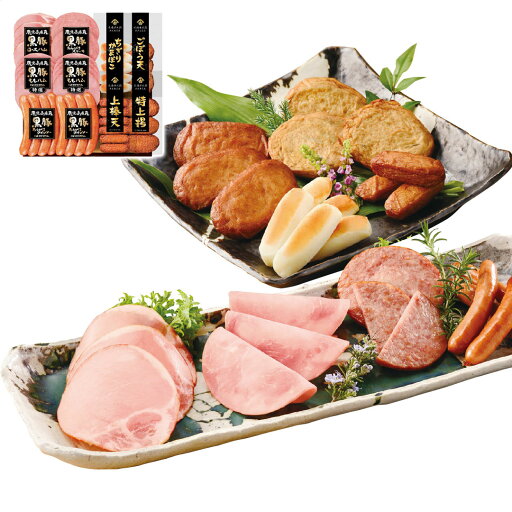 鹿児島県産黒豚ハムとさつま揚げセット お中元 御中元 ギフト 夏ギフト プリマハム 日頃の感謝を込めて 2025 人気 おすすめ 贈り物 【代引不可】 鹿児島県産黒豚ハムとさつま揚げセット お中元 御中元 ギフト 夏ギフト プリマハム 日頃の感謝を込めて 2025 人気 おすすめ 贈り物 【代引不可】