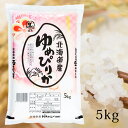 お米 5kg 北海道産 ゆめぴりか 令和6年産 白米 精米 ブランド米 5キロ 米 北海道米 食品 【代引不可】