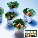 京楽味 京 料亭 わらびの里 ギフト プレゼント お土産 お返し 産直 お中元 御中元 贈り物 【代引不可】