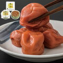 紀州梅の都 500g 中田食品 ギフト プレゼント お土産 お返し 産直 お中元 御中元 贈り物 【代引不可】