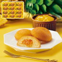 果実たっぷり ゴールデンパインケーキ 中島大祥堂 お中元 御中元 夏ギフト 贈り物 贈答品 【代引不可】