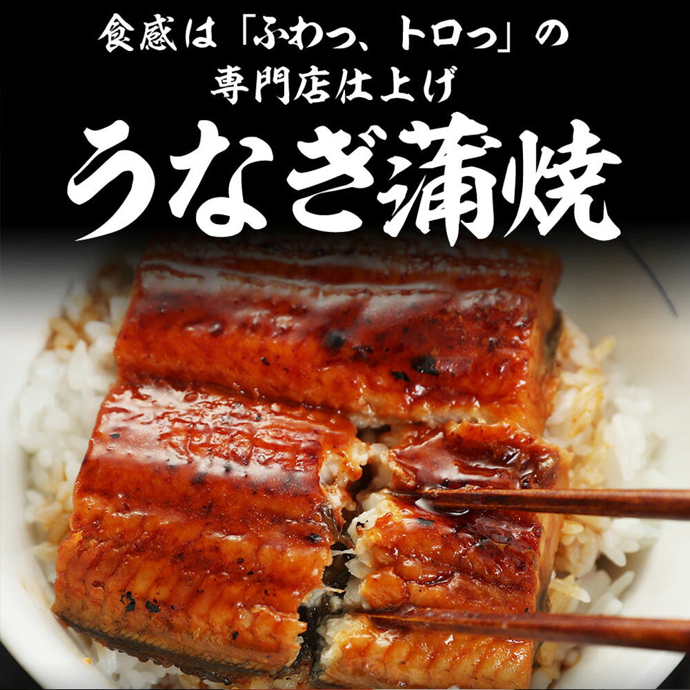 松屋 カット鰻 15人前 松屋がてがける「すし松」厳選のうなぎ 鰻 うなぎ カット 蒲...