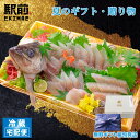 【夏ギフト】【冷蔵】すずき姿造り(盛り合わせ皿でお届けします)刺身 造り 舟盛り