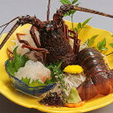【夏ギフト】【冷蔵】伊勢えび姿造り(盛り合わせ皿でお届けします)刺身 造り 舟盛り