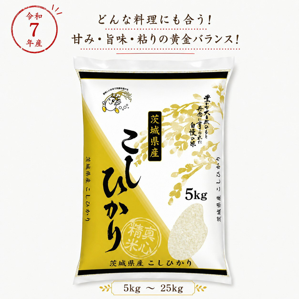 楽天市場】茨城県産 コシヒカリの通販