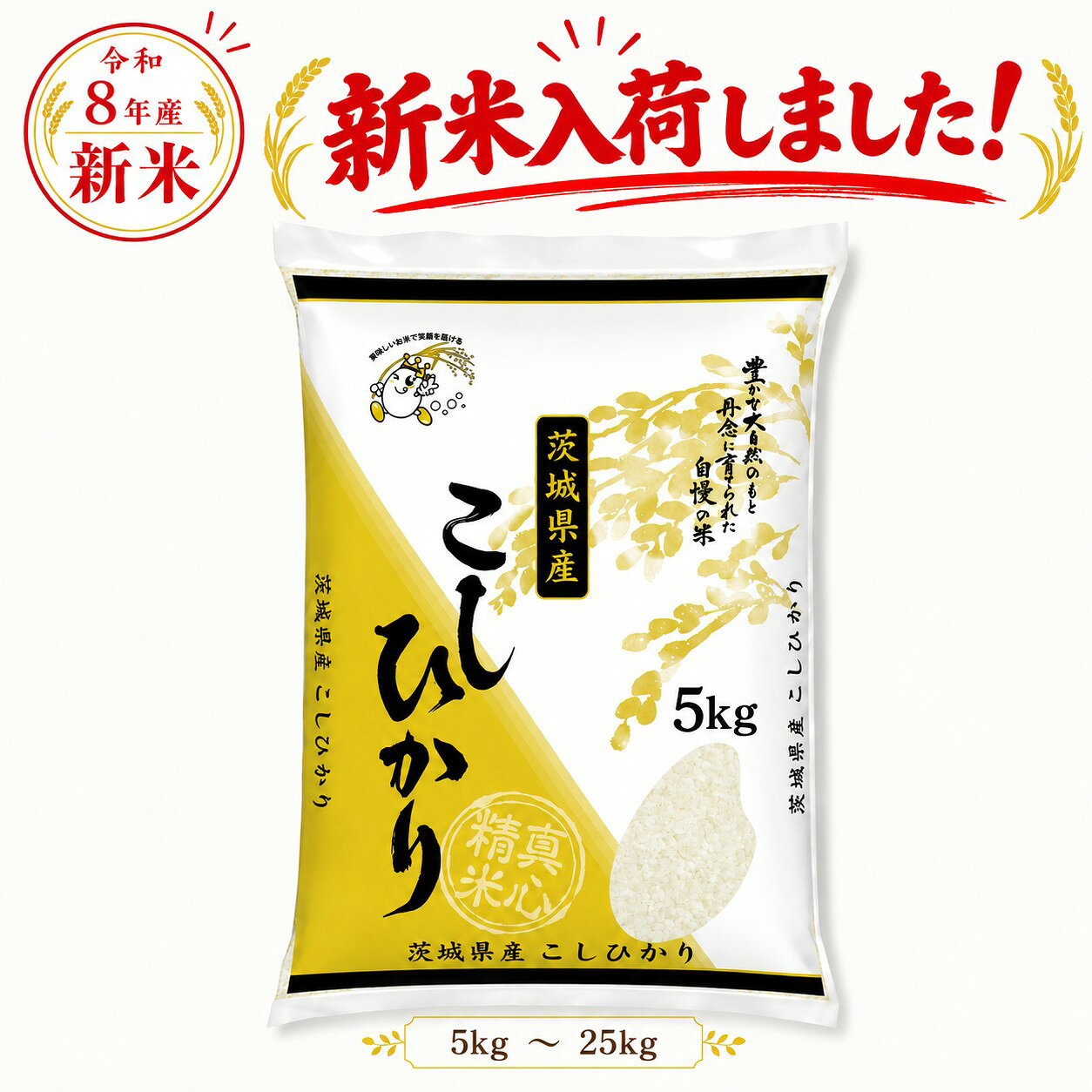 【新米】令和8年産 茨城県産 コシヒカリ 【送料無料】 白米 5kg 10kg 20kg 25kg お...