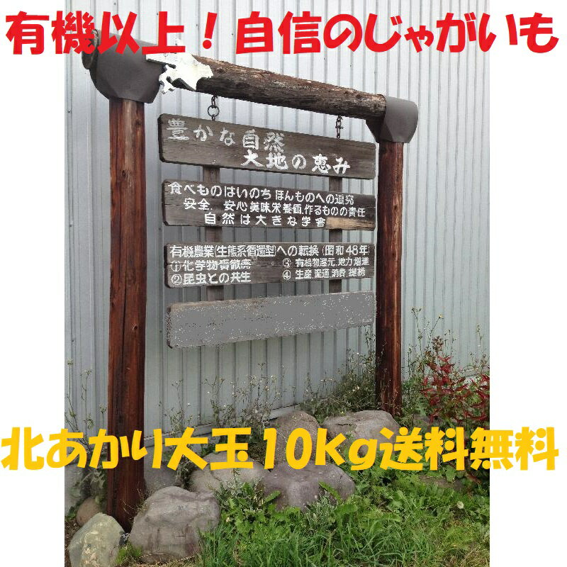 【送料無料】2021秋収穫 無農薬栽培 北海道 じゃがいも「北あかり」 大玉 10kg お得 おいしい 種芋 10キロ じゃがいも10kg 北海道じゃがいも きたあかり キタアカリ お取り寄せ 新じゃが 新じゃがいも 無農薬 有機 有機栽培 2021年 大きい