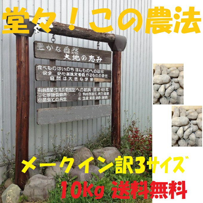 2021秋収穫 メイクイーン 3サイズ 混玉 送料無料 10kg 北海道産 じゃがいも 10キロ 無農薬 有機栽培 傷 変形 規格外 北海道 新じゃが 新じゃがいも 詰め合わせ メークイン ジャガイモ 美味しい お取り寄せ 家庭用 まとめ買い 食用 種芋 備蓄