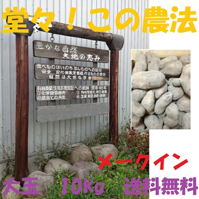 送料無料 じゃがいも 10kg 2021秋収穫北海道産 メイクイーン 大玉 無農薬 有機栽培 詰め合わせ 大きい メークイン 北海道 10キロ ジャガイモ いも 芋 イモ 北海道ジャガイモ 野菜 美味しい おいしい 取り寄せ 業務用 家庭用 種芋でも可但し、沖縄1800円増