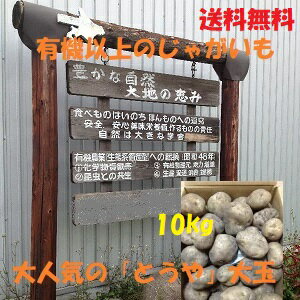 2023 北海道産 じゃがいも とうや 10kg 訳あり 大玉 規格外 有機 送料無料 北海道 10キロ 詰め合わせ 道産 有機じゃ…