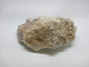 カミハタ(KAMIHATA) アクアリウムロック木化石【送料区分：60サイズ】