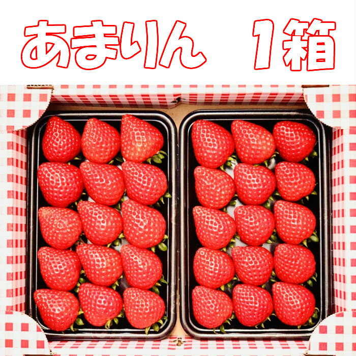 【農園直送】あまりん　埼玉県オリジナルいちご　2パック　500グラム いちご　イチゴ　苺　　送料無料　埼玉県産　深谷市産