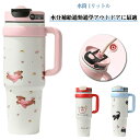タンブラー ストロー付き 大容量 1000ml 1L 1リットル ステンレス 二重構造 真空断熱 マグボトル コップ 大人用 水筒 こぼれない 車 ドライブ 通...