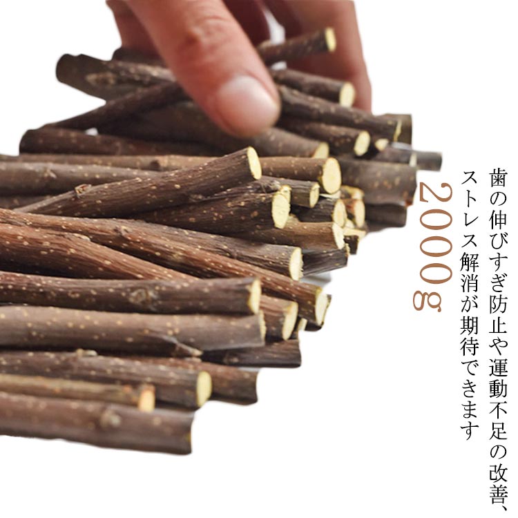 りんごの木 小動物 りんご枝 噛むおもちゃ おやつ 2000g ハムスター うさぎ リス 極細枝 中枝 天然木 ..