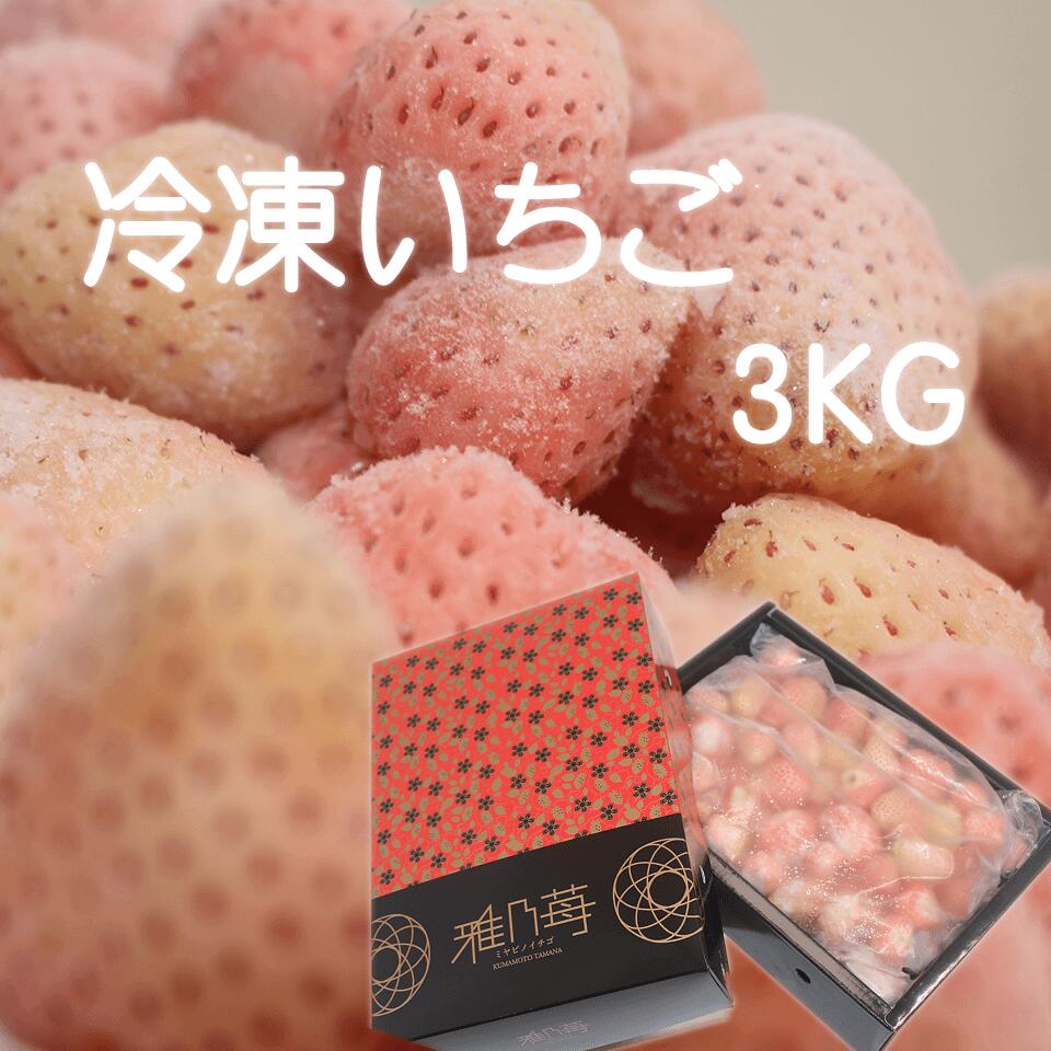 【雅乃苺】淡雪 冷凍ブランドイチゴ3kg 国産 いちごジャム/いちごミルク/シャーベット/スムージー/かき氷/いちごソース/ブランドいちご/調理/料理/フルーツ/おやつ/ケーキ/家庭用/完熟/アイス/父の日/お中元/化粧箱/業務用