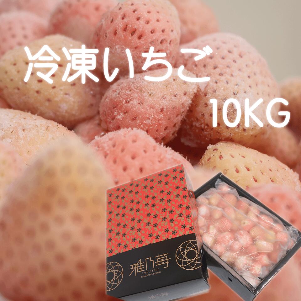 【雅乃苺】淡雪 冷凍ブランドイチゴ10kg 国産 いちごジャム/いちごミルク/シャーベット/スムージー/かき氷/いちごソース/ブランドいちご/調理/アイス/父の日/お中元/化粧箱/業務用