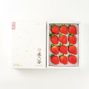 【送料無料】熊本産 雅乃苺 恋みのり-大玉400g/フルーツ