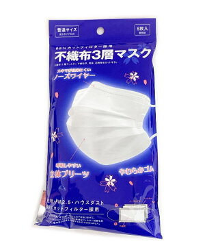 【10枚セット】個包装不織布マスクふつうサイズ(5枚×2袋)(99％カットフィルター)【使い捨て/MASK/ウイルス対策/花粉/ますく/3層構造/高密度フィルター/ 国内発送 /プリーツマスク/大人用】