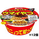 訳あり アウトレット 特価 名もなき下敷きスパゲッティ味焼そば ハンバーグ弁当風 ケース(107g×12食入) エースコック 送料無料(一部地域を除く) 賞味期...
