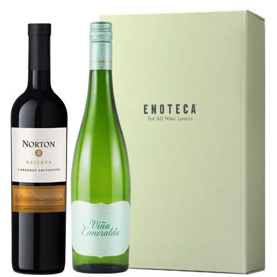 日経何でもランキング高評価 赤白2本セット 特価 エノテカ ワインセット ギフト箱付き 赤白2本セット 750ml×2本 ボデガ・ノートン トーレス 送料無料(...