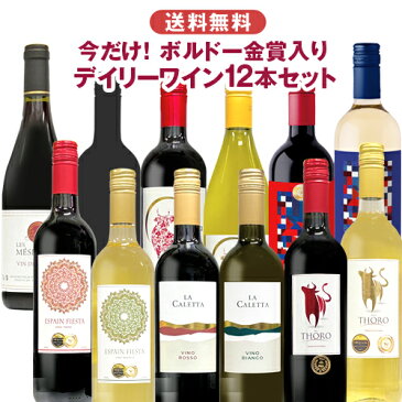 金賞ワイン入り デイリーワインセット 赤白ワイン12本 詰め合わせ 飲み比べ 世界各国 夢の競宴 送料無料(一部地域除く)　父の日 プレゼント