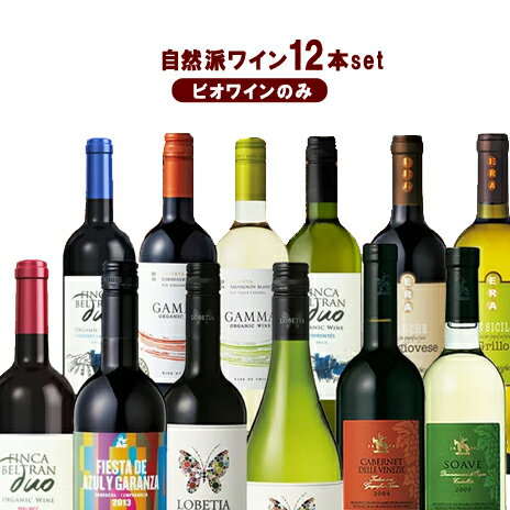 ワインセット　ビオワインだけの12本セット　自然派ワイン12本　夢の競宴 送料無料(一部地域除く)　ギフト プレゼント