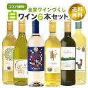 ワイン飲み比べセット 今だけ金賞入り おまかせ白ワイン6本セット デイリー白ワインセット 750ml×6本 届いてからのお楽しみ 送料無料(一部地域を除く) 詰め合わせ 飲み比べ 世界各国 夢の競宴　ギフト プレゼント