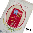 【配達日指定不可】10kg お米 令和6年 福島県産 里山のつぶ 10kg 精米 白米 10キロ 送料無料(一部地域を除く) 受発注商品 (4513496002480)