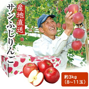 【約3kg 8~11玉】産地直送 赤井さん家の宝物 <サンふじりんご> A-3 伊達市保原町産リンゴ 福島のりんご 赤井果樹園 全国一律送料込 ※同梱注文不可