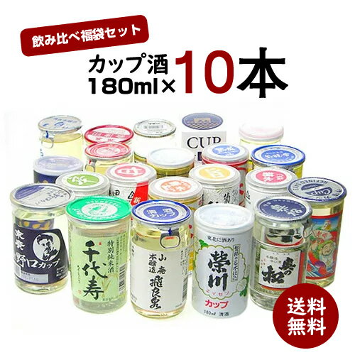 日本酒 飲み比べ 日本酒セット カップ酒 10本 180ml