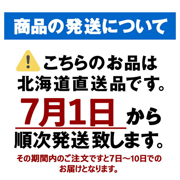 産地直送 お中元 夏ギフト 北海道 三都市ラーメン(乾麺) 96食入 40-hg 通常便 送料無料 ※同梱注文不可