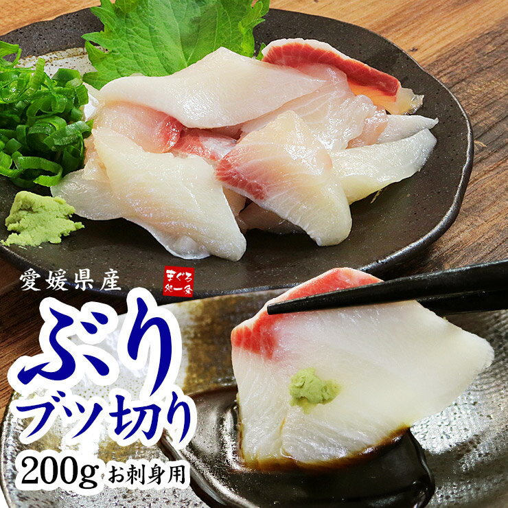 お刺身用国産ぶりブツ切り200g 鮮度抜群、濃厚な旨みと脂ののった養殖ぶり 不揃い、筋のある訳あり品 （鰤 ぶりしゃぶ お刺身 寿司ネタ 海鮮丼 手巻き寿司）《ref-brb1》yd5[[ぶりブツ切り200g]