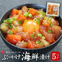 母の日 プレゼント ぶっかけ海鮮づけ5人前(110g×5パック) 送料無料 まぐろ、いか、サ