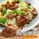 畑のお肉 500g 甘辛みそ味 旨みも食感もまるでお肉！ タンパク質豊富な大豆ミート 水戻し不要 味付き 炒め物 おやつ おつまみ 送料無料 ソイフィレ （ポスト投函 常温便 同梱不可 代引不可）[