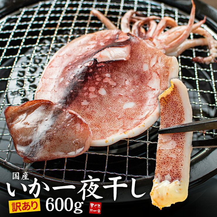 ※5/16以降のお届け イカの一夜干し 訳あり 600g (6〜12枚入) サイズ不揃い 小さめ 国産 送料無料 いかの旨みが凝縮 ふっくら柔らかで絶妙な塩加減がお酒とよく合う （真いか スルメイカ 干物 酒の肴 おつまみ）gw2 yd9[[訳ありいか一夜干し600g]のサムネイル